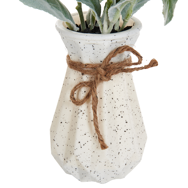 Kunstpflanze PEPEROMIA ARGYREIA 30 cm Grün
