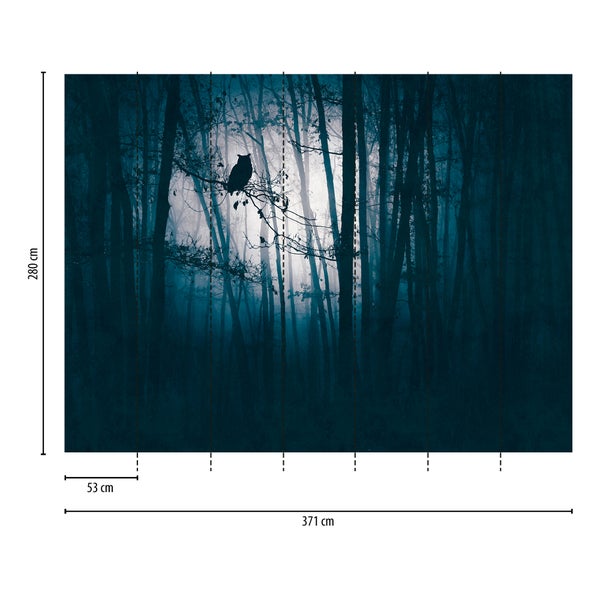 Fototapete Wald bei Nacht mit Eulen-Silhouette vor hellem Mond. Maße 371 mal 280 Zentimeter.