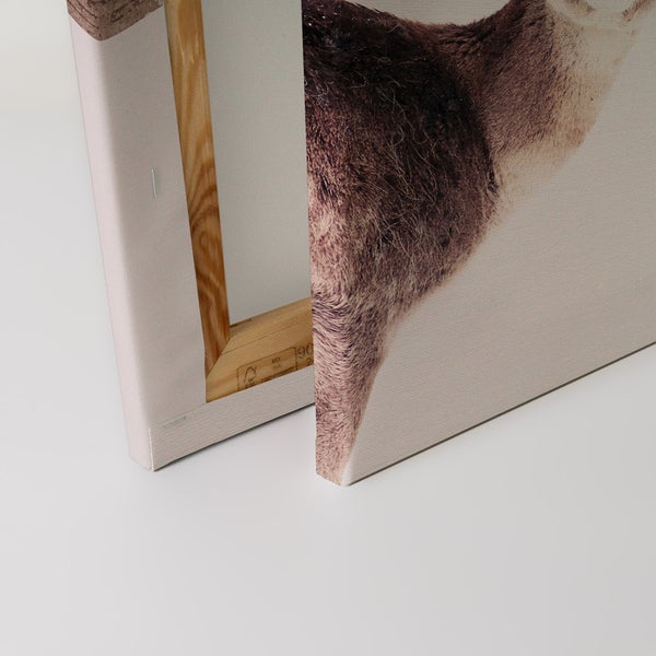 Detailansicht einer Leinwand mit Holzrahmen und einer Tierdarstellung