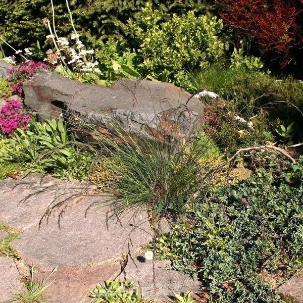 Gartenszene mit Stein, Ziergras und verschiedenen Pflanzen