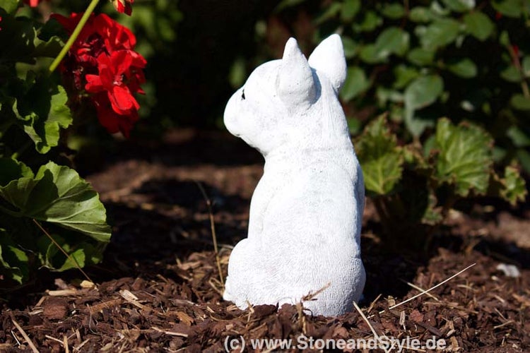 Steinfigur Hund als Gartendekoration in Form einer Französischen Bulldogge aus wetterfestem Steinguss