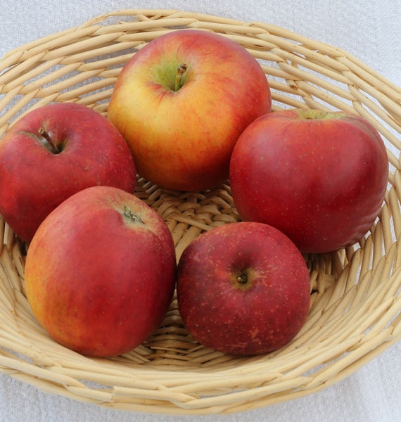 Fünf Äpfel in einem Weidenkorb