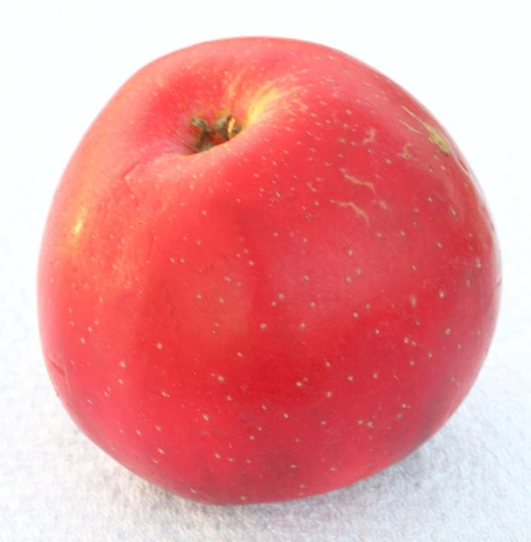 Roter Apfel