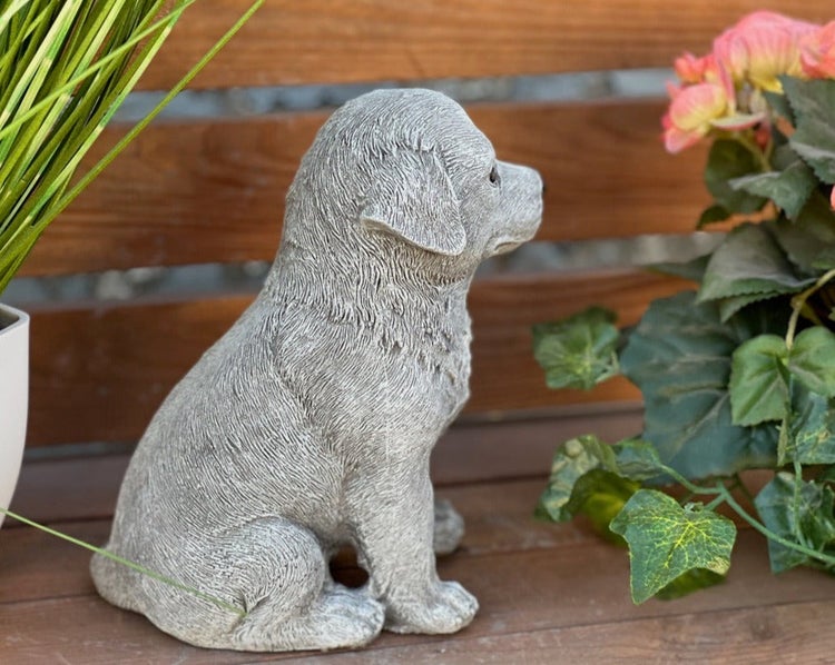Gartenfigur eines sitzenden Welpen aus Stein auf einer Holzbank neben Pflanzen