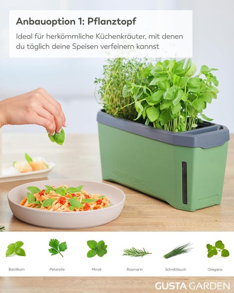 Pflanztopf mit Kräutern, Nudeln mit Basilikum und Kräuter Icons