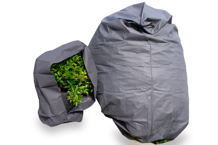 Zwei Pflanzenhauben aus Textil zum Winterschutz von Kübelpflanzen im Garten.