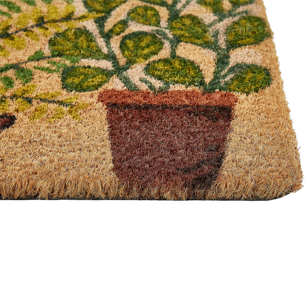 Fußmatte ANAMUDI Naturfarben 40 x 60 cm Kokosfasern