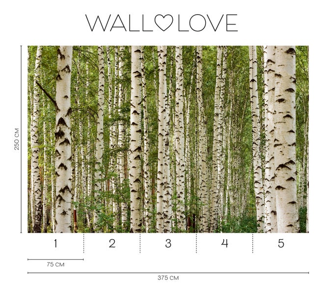 Wallpassion Fototapete mit Birkenwaldmotiv, 250 x 375 cm