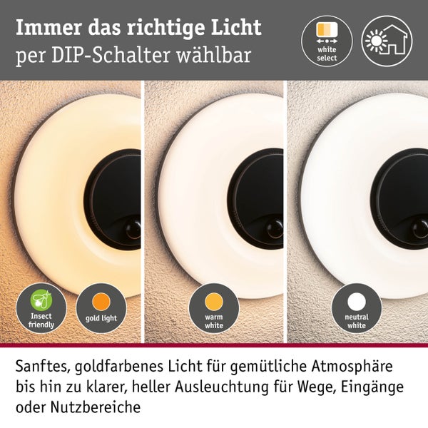 Wandleuchte mit drei per Schalter einstellbaren Lichtfarben: Goldlicht, Warmweiß und Neutralweiß.