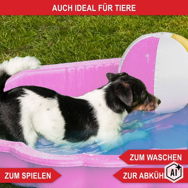 Hund in einem kleinen Planschbecken mit aufblasbarem Ball auf dem Rasen für Spiel, Kühlung und Wäsche.