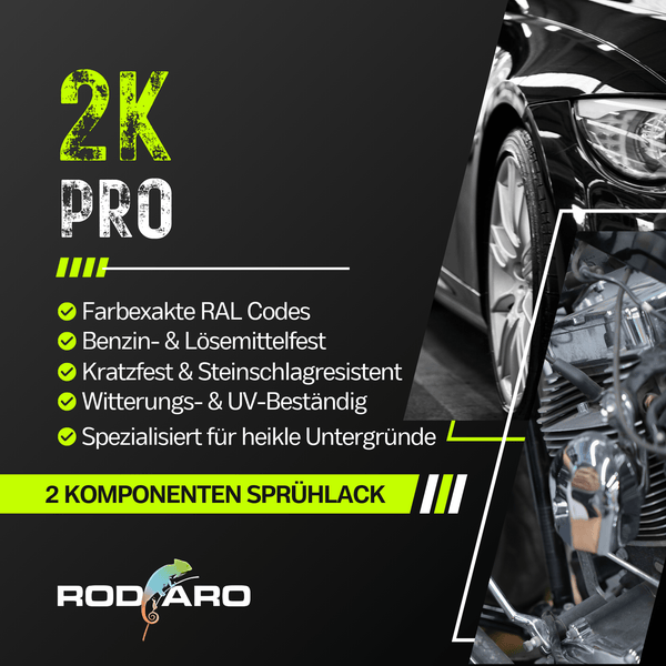 2K PRO 2 Komponenten Sprühfarbe 250ml RAL9005 Tiefschwarz Glanz