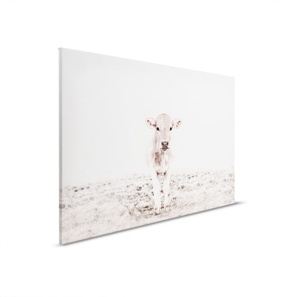 Leinwandbild mit dem Motiv eines Kalbes