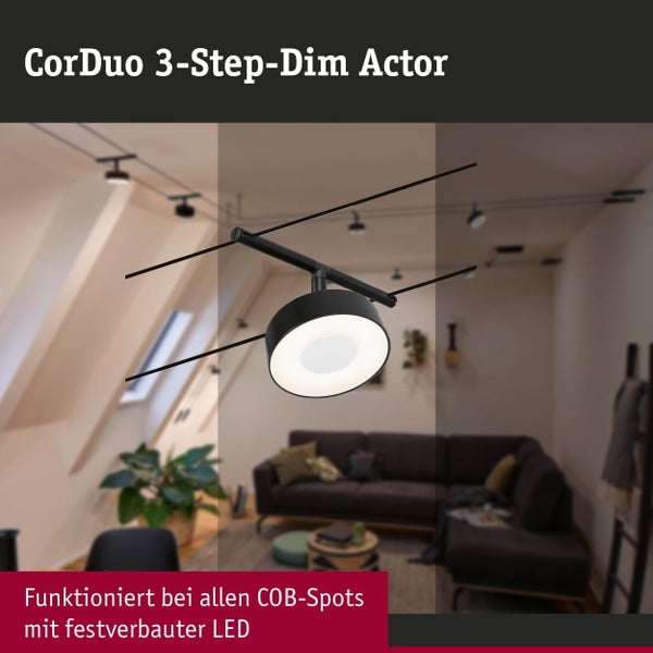 Esszimmer mit Esstisch, Stühlen, Dekoration und Beleuchtung