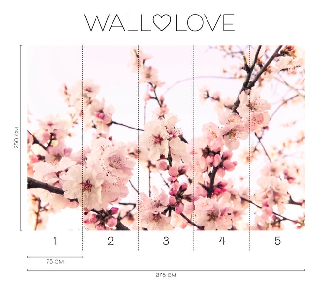 Walllove Fototapete mit Kirschblütenmotiv, Abmessungen 375 x 250 cm