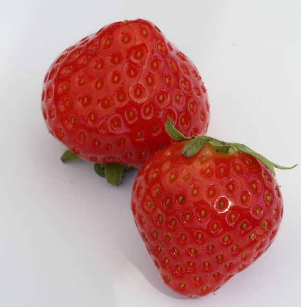 Zwei rote Erdbeeren
