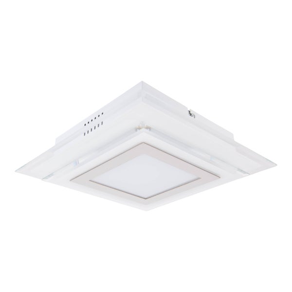 Innenraum mit Zimmerpflanze, Regal und Deckenleuchte