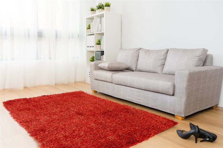 Roter Hochflor-Teppich in einem hellen Wohnzimmer mit grauem Sofa, weißem Regal und Holzboden.