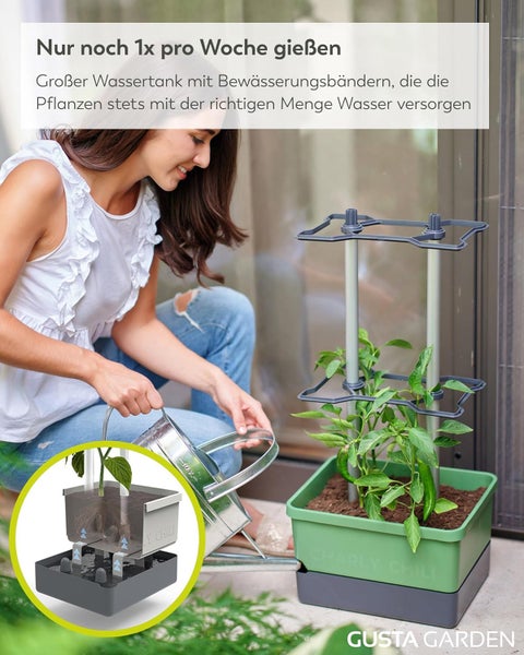 Frau gießt Chilly-Pflanze im Pflanzkasten mit Rankhilfe