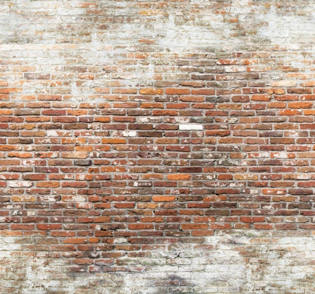 Backsteinmauer Rustikal - Fototapete - 280x300 cm