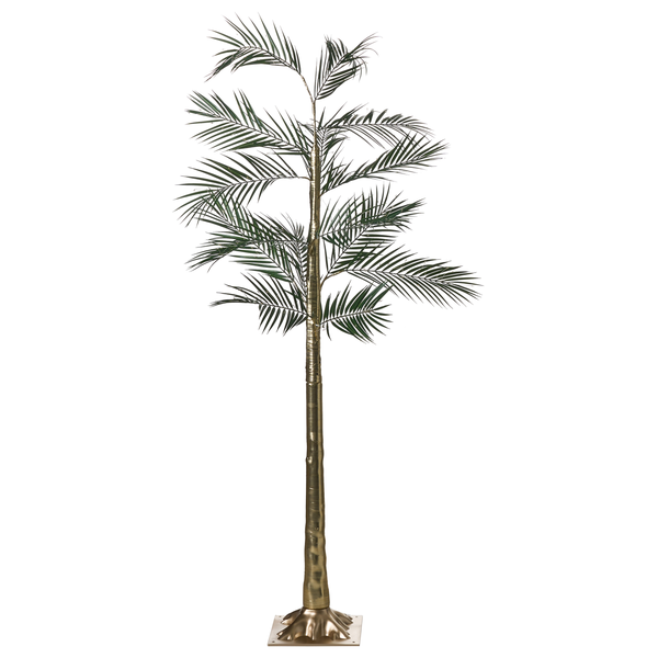 Dekorative Areca-Palme als Zimmerpflanze