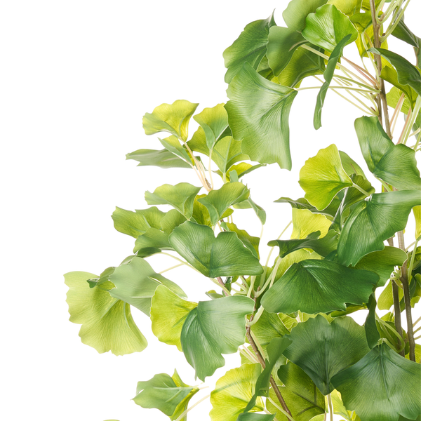Nahaufnahme eines künstlichen Ginkgo-Zweigs mit grünen Blättern.