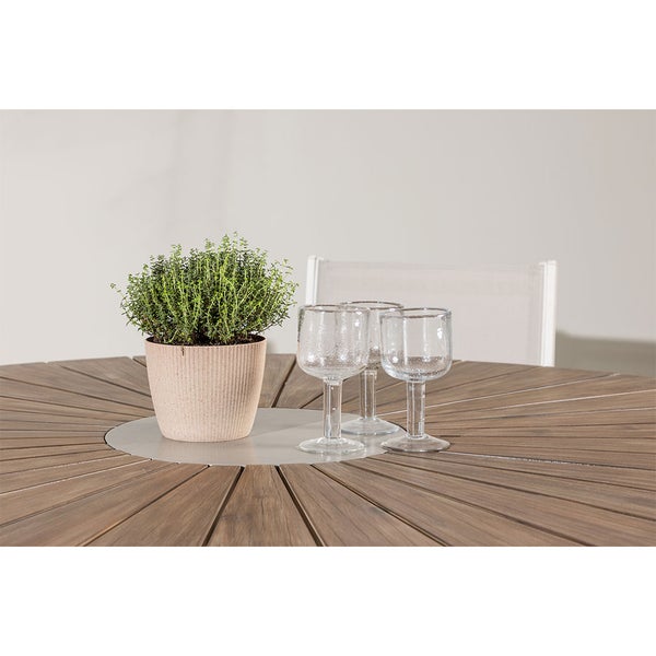 Gartentisch mit Pflanze und Gläsern