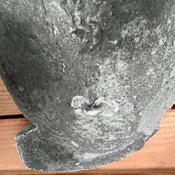 Rückseite einer Wanddekoration aus Beton mit integrierter Metallaufhängung zur Wandmontage.
