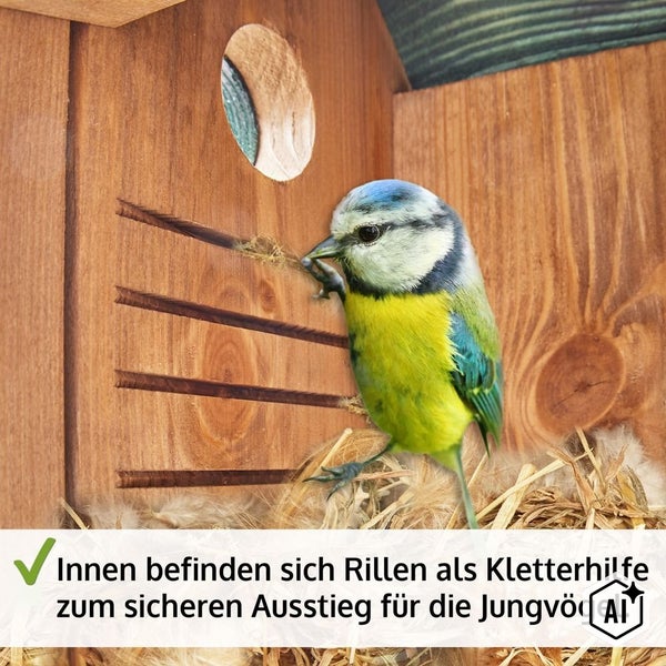 Vogelhaus aus Holz mit Innenrillen als Kletterhilfe für Jungvögel und einer Blaumeise im Inneren.