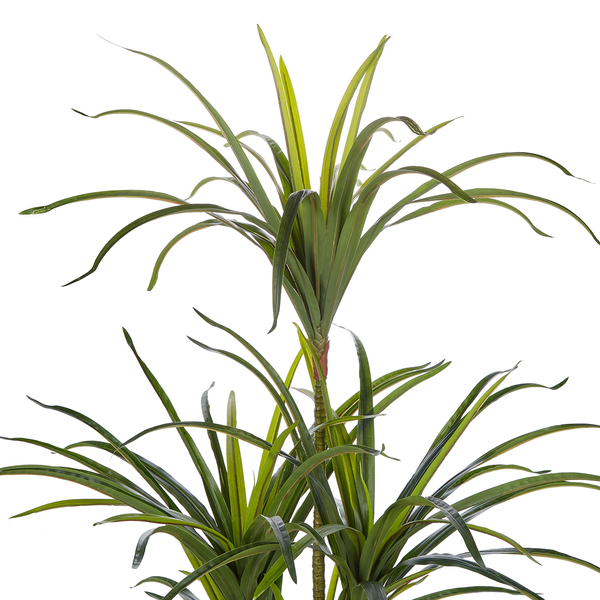 Kunstpflanze DRACAENA ANITA 147 cm Grün