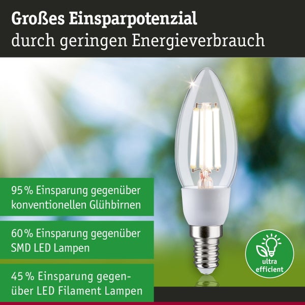 Paulmann Logo. Modernes Firmengebäude mit Blumenwiese. Text zu Lichtkompetenz seit 1978, Direktversand, Kundenservice und 100 Prozent Recycling.