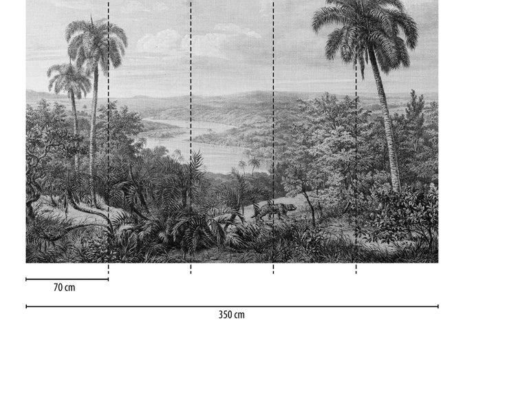 Fototapete mit schwarz-weißem Tropen-Motiv, Palmen, Fluss und Leopard, Gesamtbreite 350 Zentimeter, Bahnenbreite 70 Zentimeter.