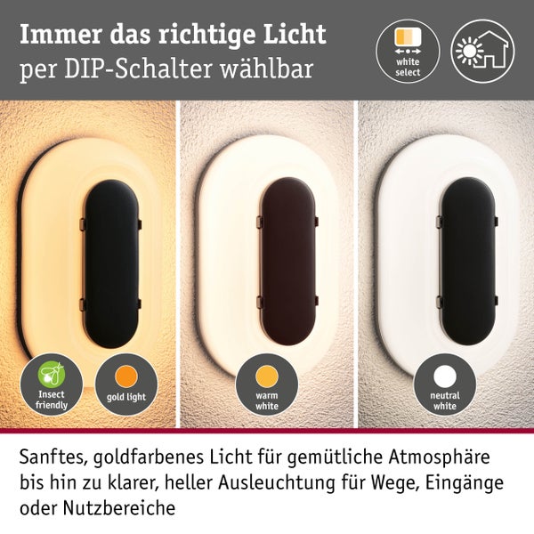 Infografik für eine Außenwandleuchte mit drei wählbaren Lichtfarben per DIP-Schalter: insektenfreundliches Goldlicht, Warmweiß und Neutralweiß.
