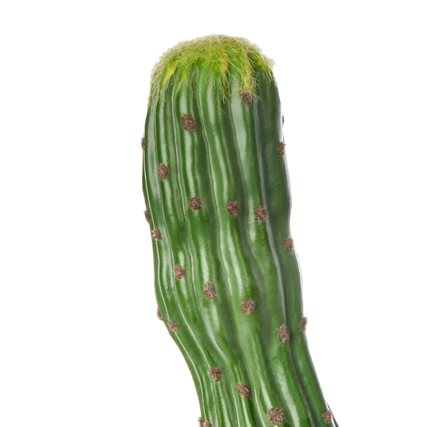 Kunstpflanze MAROCCO CEREUS 115 cm Grün