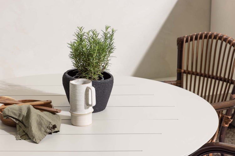 Szene mit Esstisch, Geschirr, Topfpflanze und Rattanstuhl
