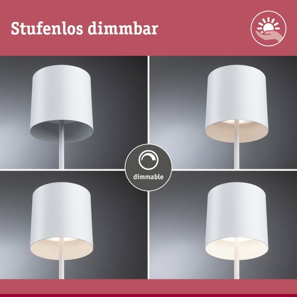 LED Globe Lampe mit E27 Sockel und milchigem Glas