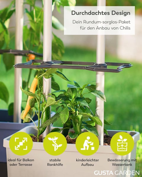 Chili Anzuchtset mit Rankhilfe und Bewässerungssystem für Balkon und Terrasse