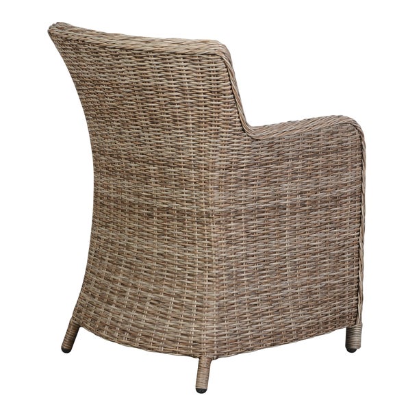 Zimmer mit Strelitzie und Geigenfeige in gestreiften Töpfen auf Holzhocker und Teppich