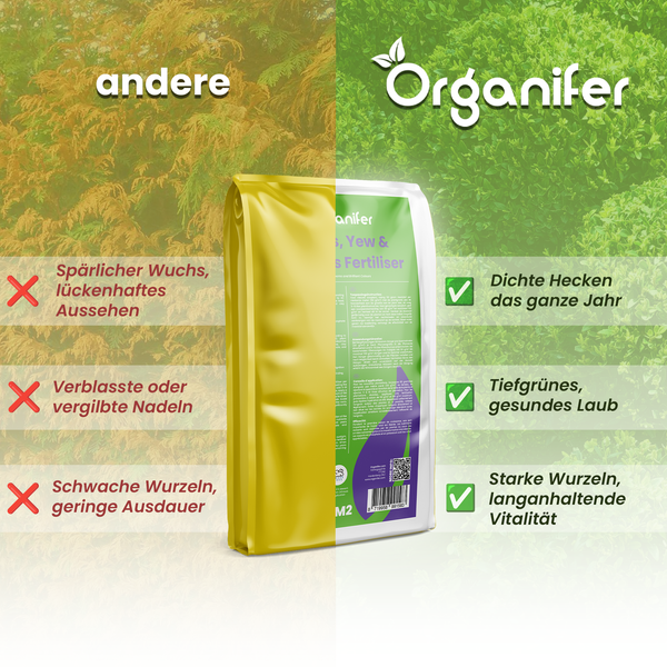 Grafik, die die Vorteile von Organifer Heckendünger im Vergleich zu anderen Produkten hervorhebt: dichtere Hecken, tiefgrünes Laub, starke Wurzeln.