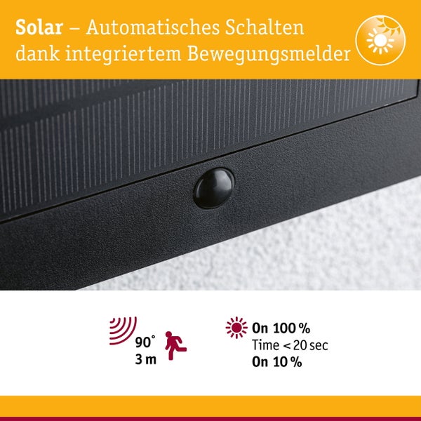 Esszimmer mit Holztisch, Stühlen, Dekoration und Deckenleuchten