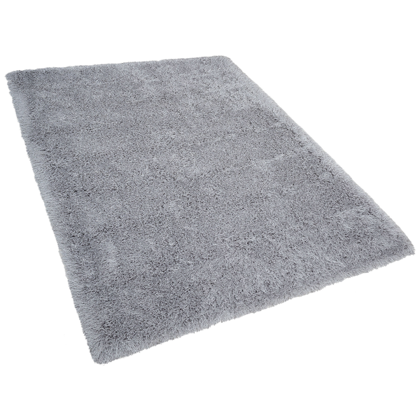 Teppich hellgrau 200 x 300 cm Shaggy CIDE