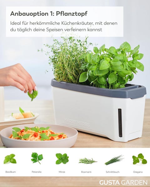 Pflanztopf mit Küchenkräutern, Teller Pasta mit Basilikum und Kräuterauswahl