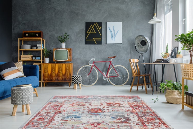 Geräumiges Wohnzimmer mit grauer Wand, Orientteppich, blauem Sofa, Holzregalen und einem roten Vintage-Fahrrad.