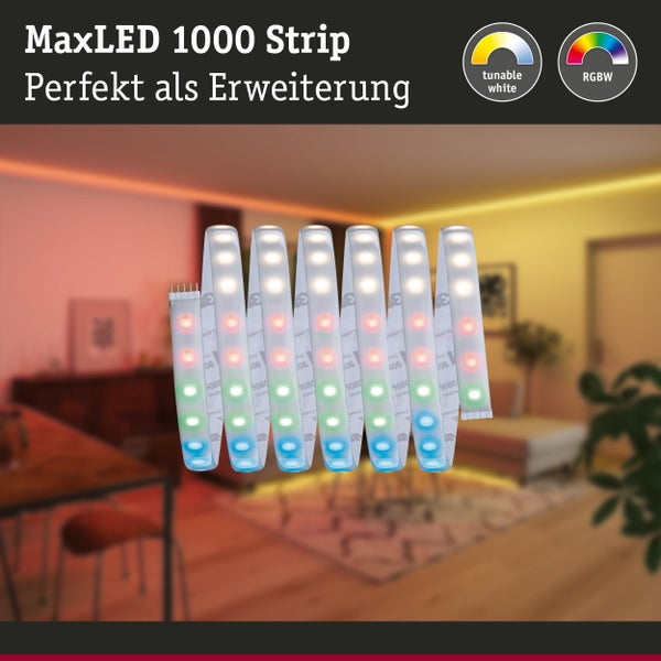 LED Streifen MaxLED 1000 mit 2,5 Meter Laenge und Schutzabdeckung zur Raumbeleuchtung in einem modern eingerichteten Wohnzimmer.