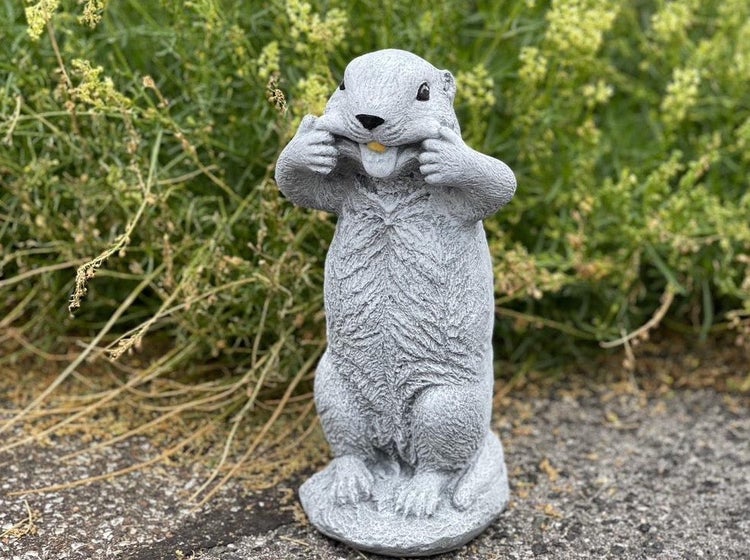 Steinfigur Murmeltier als Gartenfigur in stehender Position mit grimassenziehendem Gesichtsausdruck