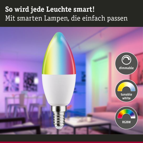 Technisches Informationsetikett mit Produktspezifikationen, Barcode und Entsorgungssymbolen für Paulmann Licht Leuchtmittel.