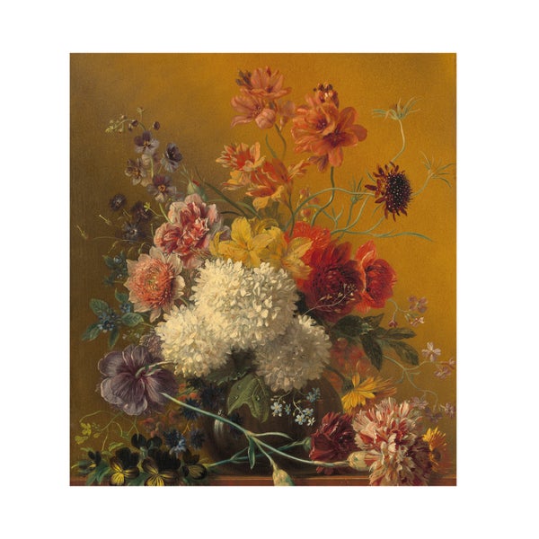 Fototapete - Quinty Flowers - 280x300 cm