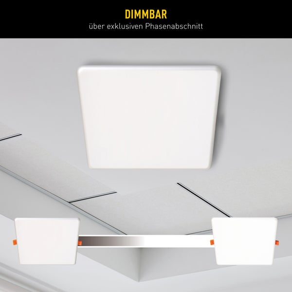 Detailansicht einer Schlagdrahtfalle