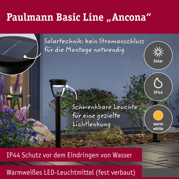 Paulmann Basic Line Ancona Solar Außenleuchte mit schwenkbarem Leuchtkopf und IP44 Schutz für eine gezielte Beleuchtung im Garten.