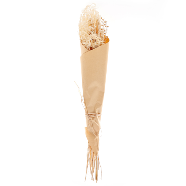 Trockenblumenstrauß BRUNETE 65 cm Naturfarben