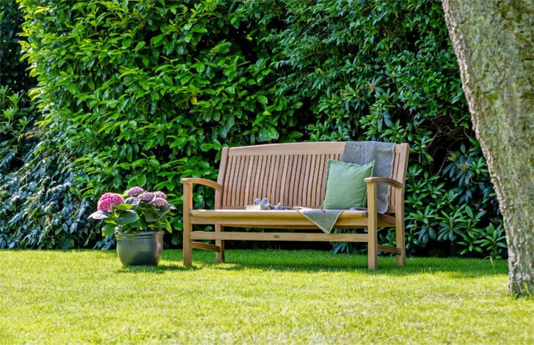 Garten Szene mit einer Holzbank, einem Blumentopf mit Hortensien und grüner Bepflanzung im Hintergrund.